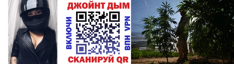 Купить закладку ГАШ  Alpha PVP  Амфетамин  Канабис  МЕФ  Черногорск