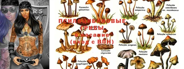 скорость Заводоуковск